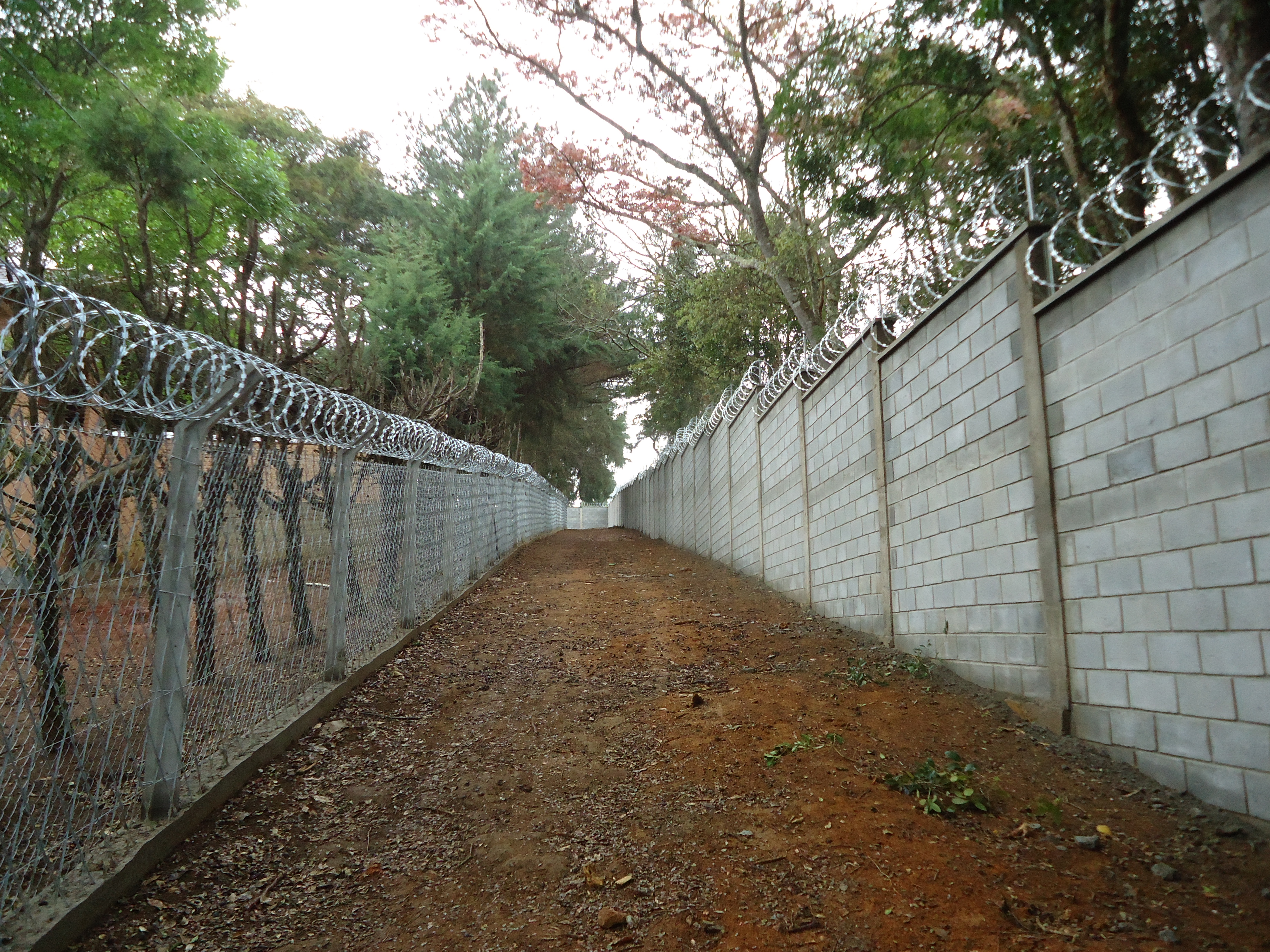 Rede Laminada + Concertina